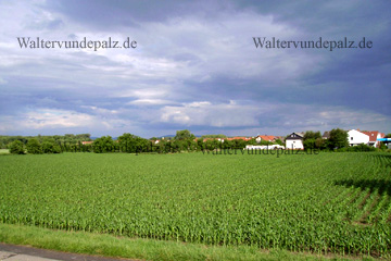 Ansicht der Gemeinde Altrip wie die sich in die schöne Landschaft am Rhein einfügt. Altrip, da ist das Naherholungsgebiet Blaue Adria.