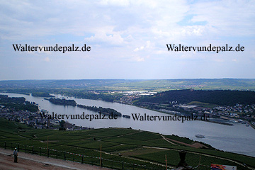 Blick über Bingen bis Rüdesheim am Rhein