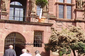 Eingang Deutsches Apothekenmuseum im Schloss Heidelberg.