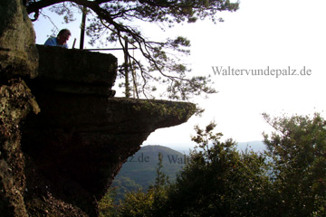 Aussichtsplattform am Drachenfels - Westfels von der Seite, da ist der doch tatsächlich noch über das Geländer gestiegen nur um besser Bilder zu bekommen