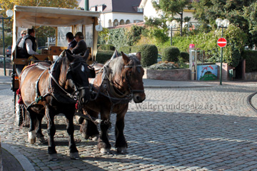 Fahrt mit der Pferdekutsche in Bad Dürkheim.