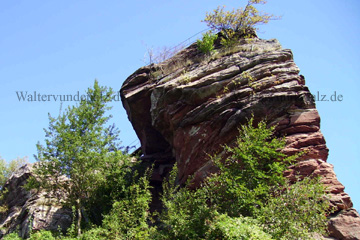 Für das Dahner Felsenland typische Felsen auf die man auf einigen sogar klettern kann.