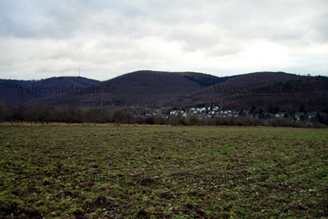 Ansicht der Fleckertshöhe oberhalb von Boppard im Hunsrück (Sendemast)