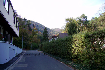 Gaistal, Wanderung zum Kleiner Peterskopf bei Bad Dürkheim