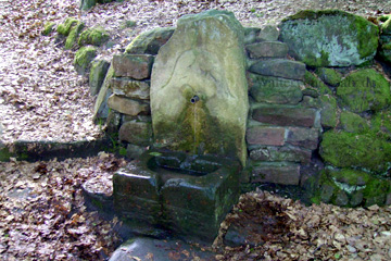 Geiersbrunnen, nahe dem Bismarckturm im Pfälzer Wald