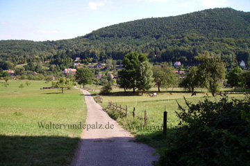 Wiese in der Nähe der Ferienwohnungen Haus Gudrun in Nothweiler