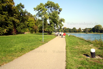 Hannelore Kohl Promenade, Parkinsel in Ludwigshafen am Rhein. Vom Berliner Platz sprich der Stadtmitte bis auf die Parkinsel zu Fuß am Rhein entlang dauert in etwa 10 Minuten wenn man langsam läuft.