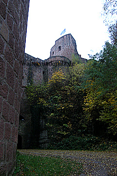 Burgruine Hardenburg Bad Dürkheim an der Weinstraße