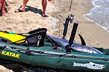 Beim Angeln am Campingplatz an der Adria mit dem Kajak gefangener riesiger Thunfisch den man da in dem Boot liegen sieht.