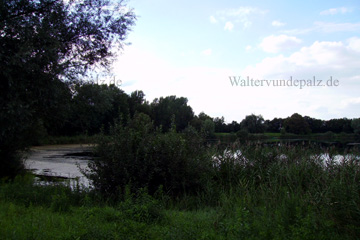 Jägerweiher im Maudacher Bruch, einem Naherholungsgebiet in Ludwigshafen am Rhein