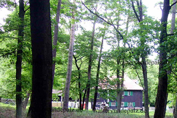 Forsthaus Lindemannsruhe bei Bad Dürkheim im Pfälzer Wald