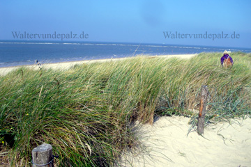 Ein Strand mit Dünen an der Nordsee beim Ostfriesland Urlaub.