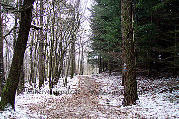 Winterlandschaft im Pfälzer Wald bei Bad Dürkheim
