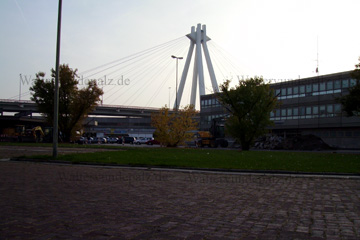 Pylon-Brücke am Hauptbahnhof in Ludwigshafen am Rhein in der Pfalz