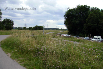 Radweg hinter Worms auf der Velurroute in Richtung Bobenheim-Roxheim und letztendlich Ludwigshafen. So sieht die Landschaft hier aus. Auf dem Parkplatz steht auch ein Wohnmobil und Autos von Ausflüglern.