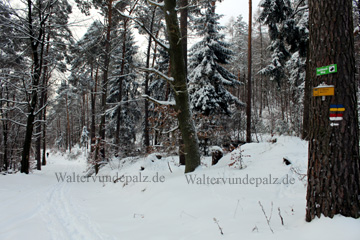 Wanderung im Schnee im Pfälzer Wald zwischen Neustadt- und Bad Dürkheim an der Weinstraße.
