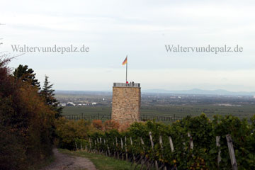 Wanderer auf dem Turm der Wachtenburg wo man bei klarer Sicht über die ganze Rheinebene der Pfalz und bis hin nach Heidelberg und den Odenwald blicken kann.