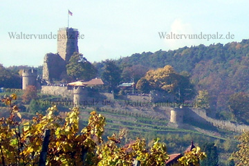 Wachtenburg in Wachenheim an der Weinstraße