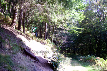Waldweg zum Drachenfels über die Trockendell