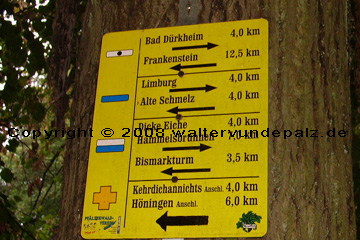 Wanderwege ab Hardenburg bei Bad Dürkheim