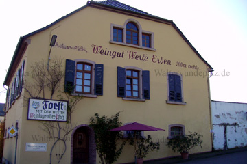 Weingut Werle Erben in Forst an der Weinstraße, rechts einbiegen zum Pechsteinkopf